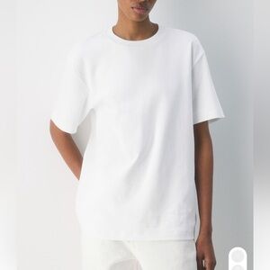 BRAND NEW TAGS ON Aritzia Pegasus T Shirt